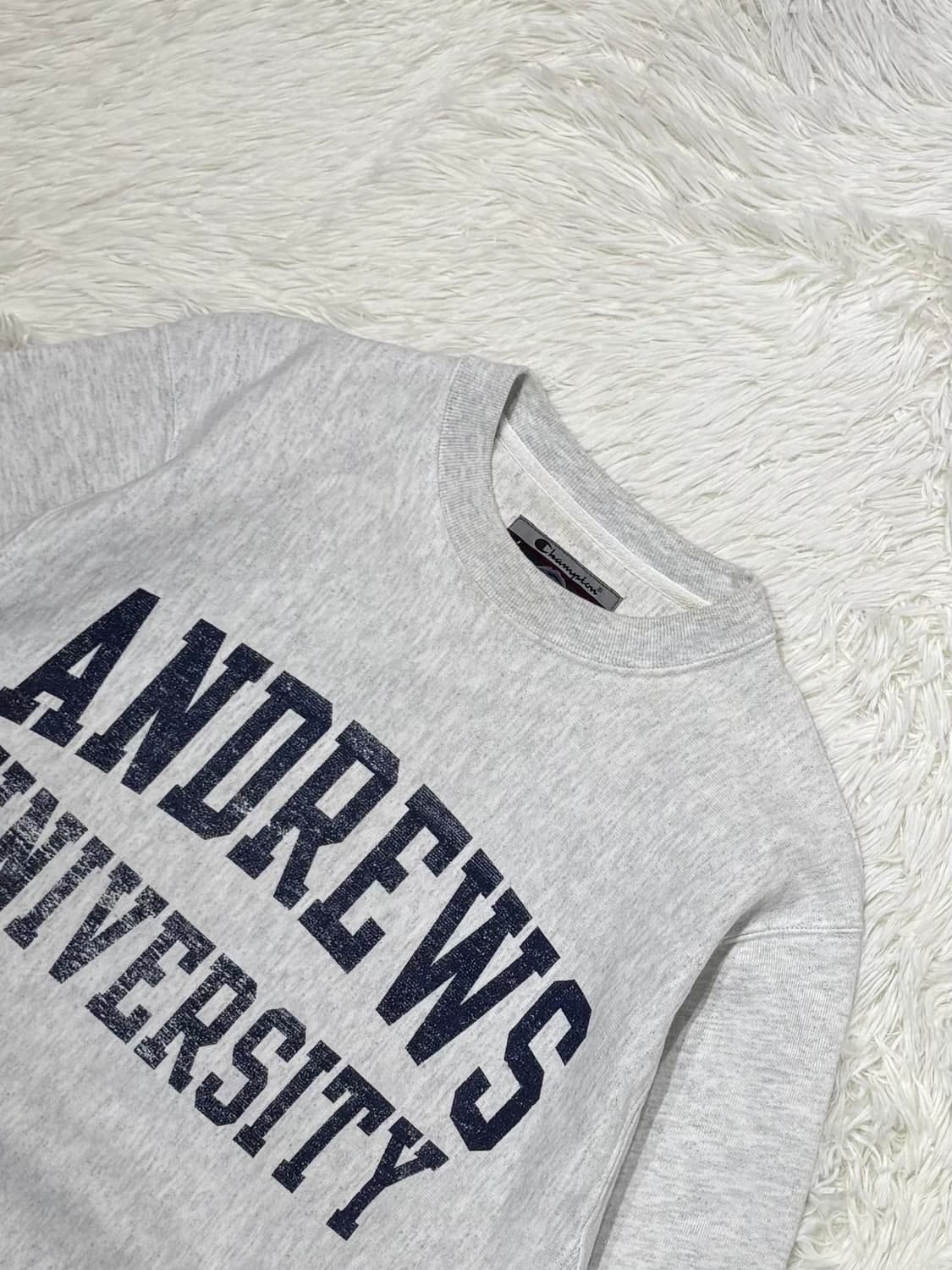 챔피언 00‘s 앤드류스 유니버시티 리버스위브 맨투맨 상품이미지4