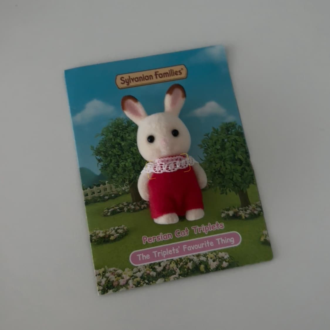 실바니안 초콜릿 토끼, 페르시안 고양이 직립 상품이미지2