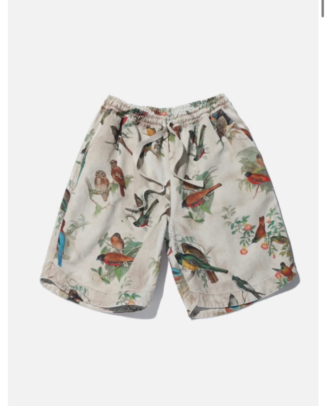 lcbx bird print 버뮤다 팬츠 (2) 상품이미지1