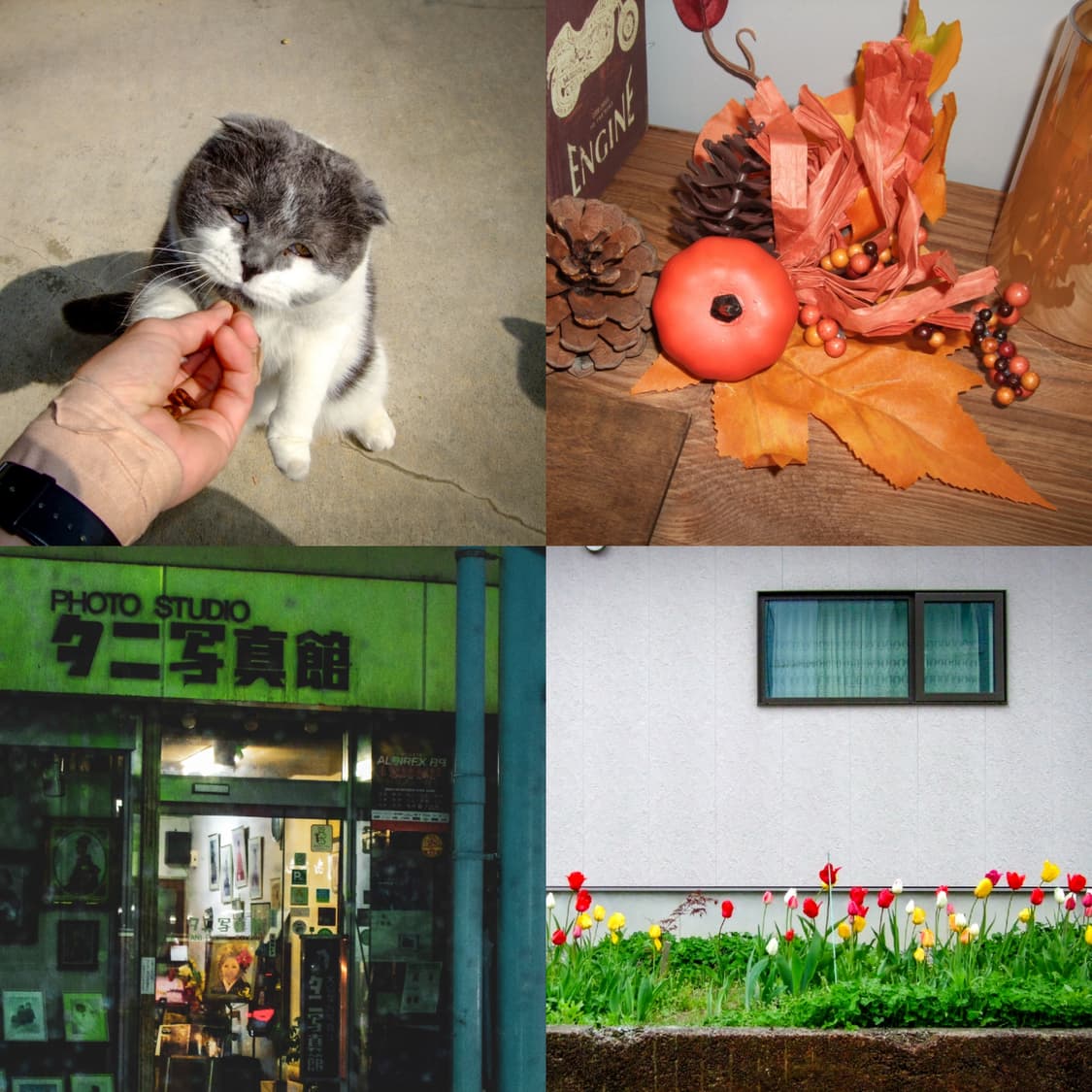후지필름 파인픽스 F60fd 골드 ✨ 감성 색감이 예쁜 초미품 디카 🤍 상품이미지8