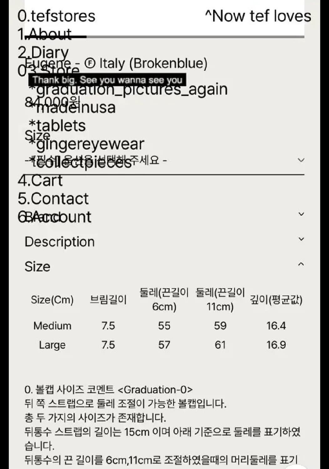 테프스토어즈 Eugene - Italy (Brokenblue) L 상품이미지2