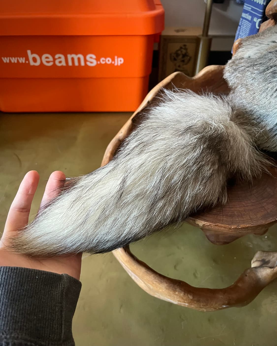 CA4LA Archive Real Fox Fur Sharp-Car Hat 상품이미지8