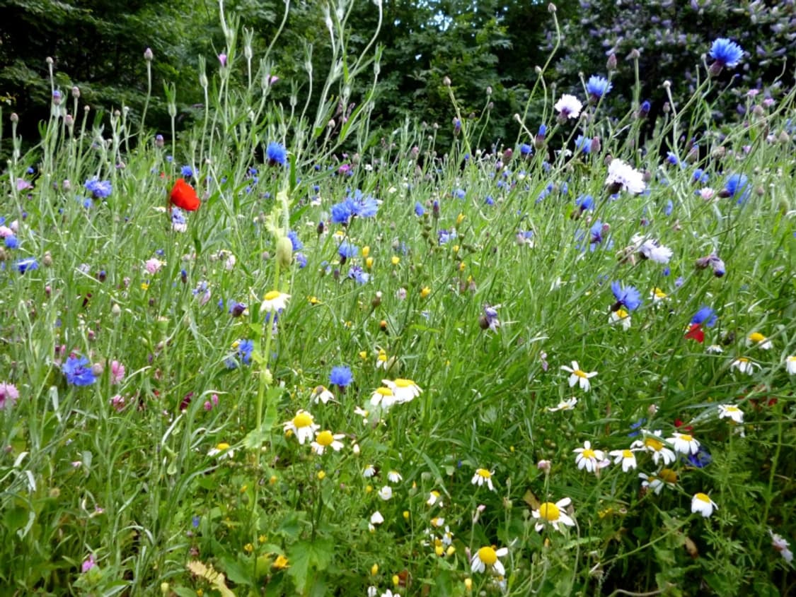 (신품급) 파나소닉 루믹스 DMC-S2 카메라 [lumix] 상품이미지8