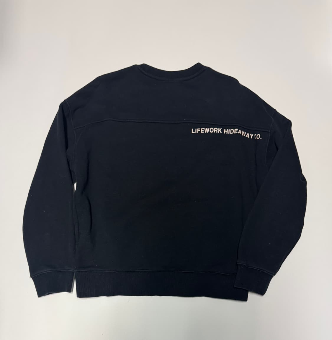 여성 라이프워크 배리어스 로고 스웻 맨투맨 상품이미지2