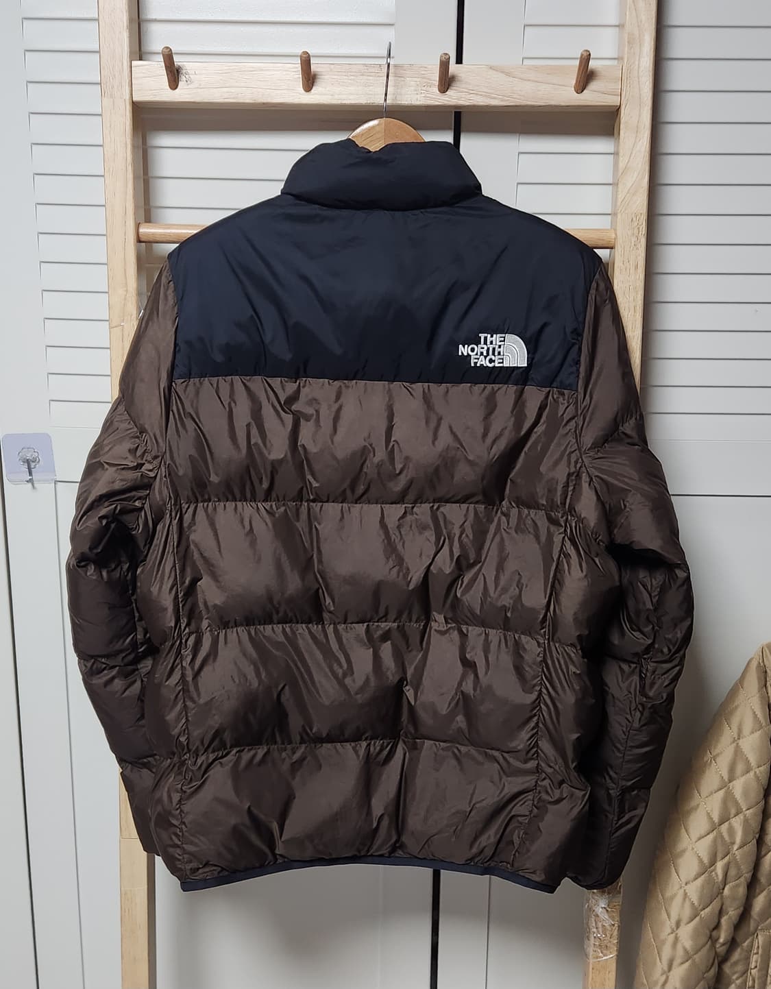노스페이스 브라운 에코 눕시 패딩 자켓 상품이미지3