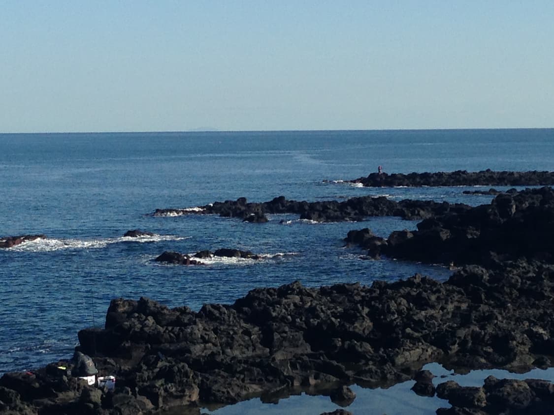 새상품, 일본정식출시 -> 리퍼 짜집기X / 아이폰 5c 16기가 판매 상품이미지3