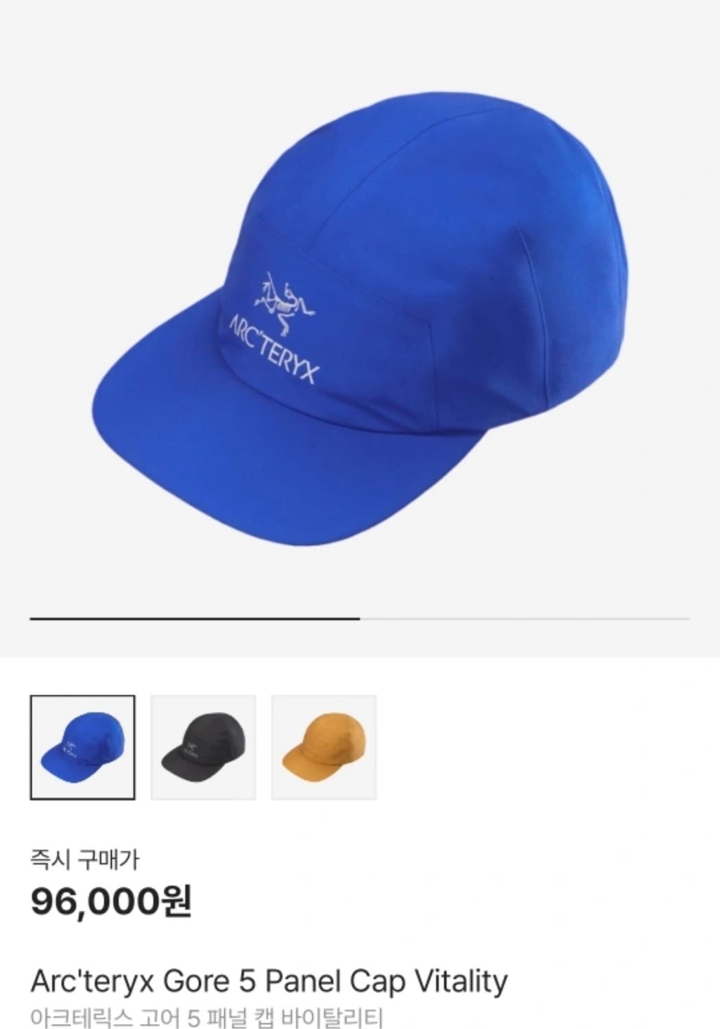 아크테릭스 고어 5 패널 캡 상품이미지1