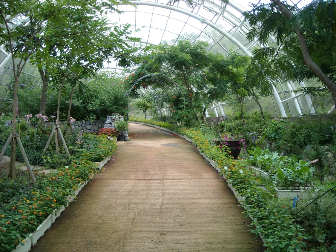 후지필름 파인픽스 finepix z10 디카 (빈티지 카메라) 상품이미지10