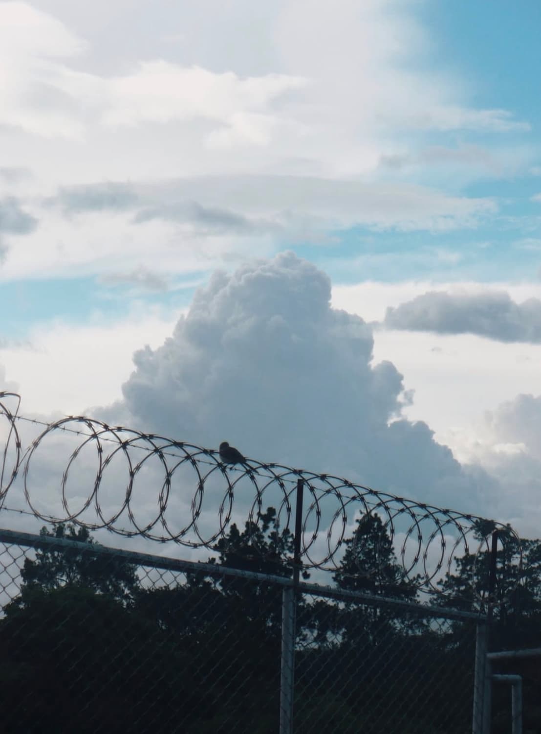 파나소닉 루믹스 lz6 디지털카메라 상품이미지8