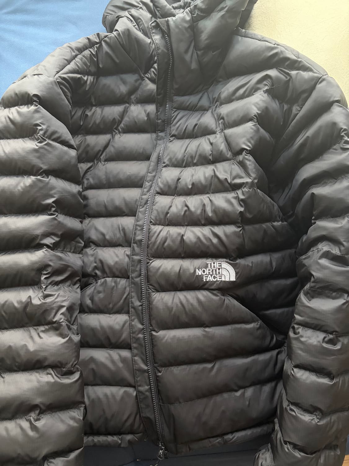 노스페이스 벤투스 m 상품이미지1