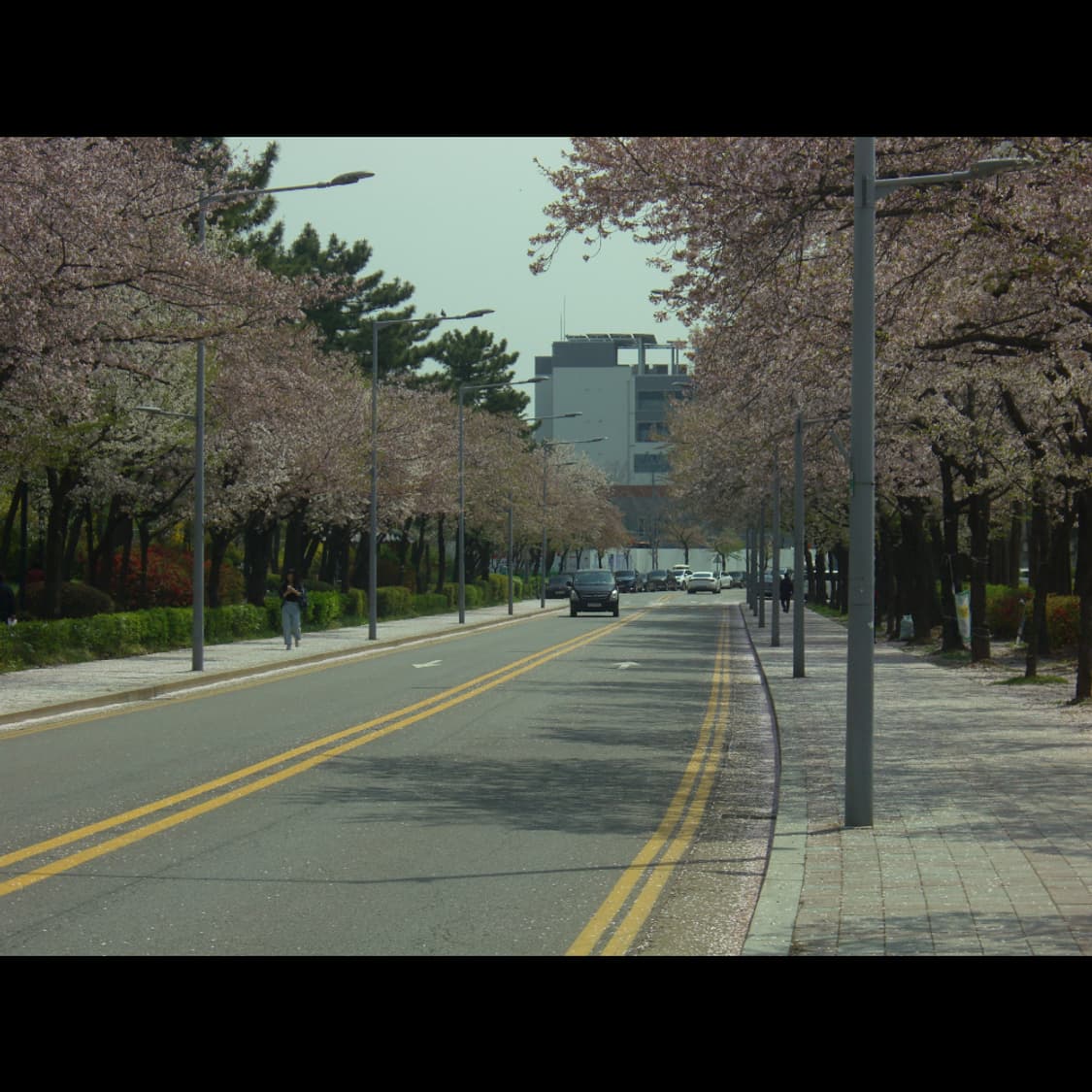 작례⭕️ 카시오 엑슬림 EX-Z1000 상품이미지7