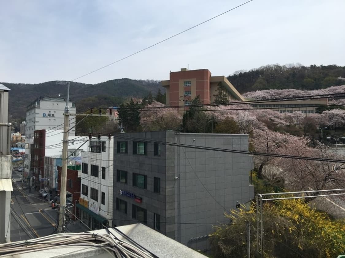 니콘 쿨픽스 p500 디카 (빈티지 카메라) 상품이미지9