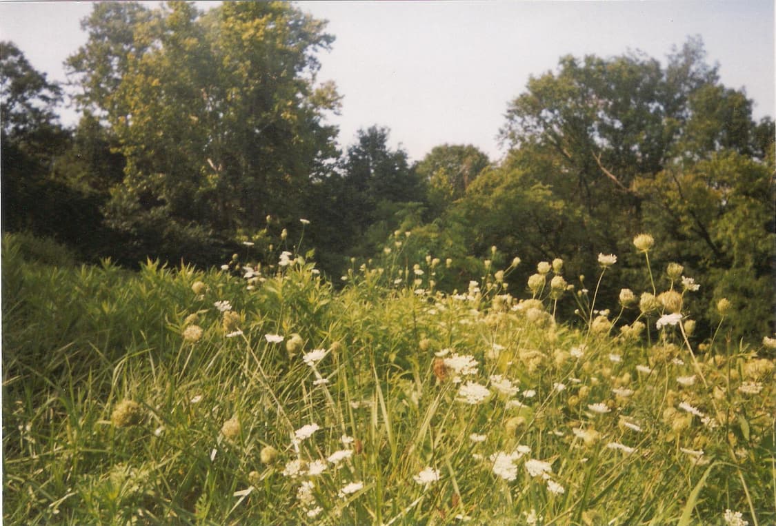 작례O 근본 듀얼 렌즈 비비타 비스타 텔레 모토 필름카메라 빈티지 필카 상품이미지3