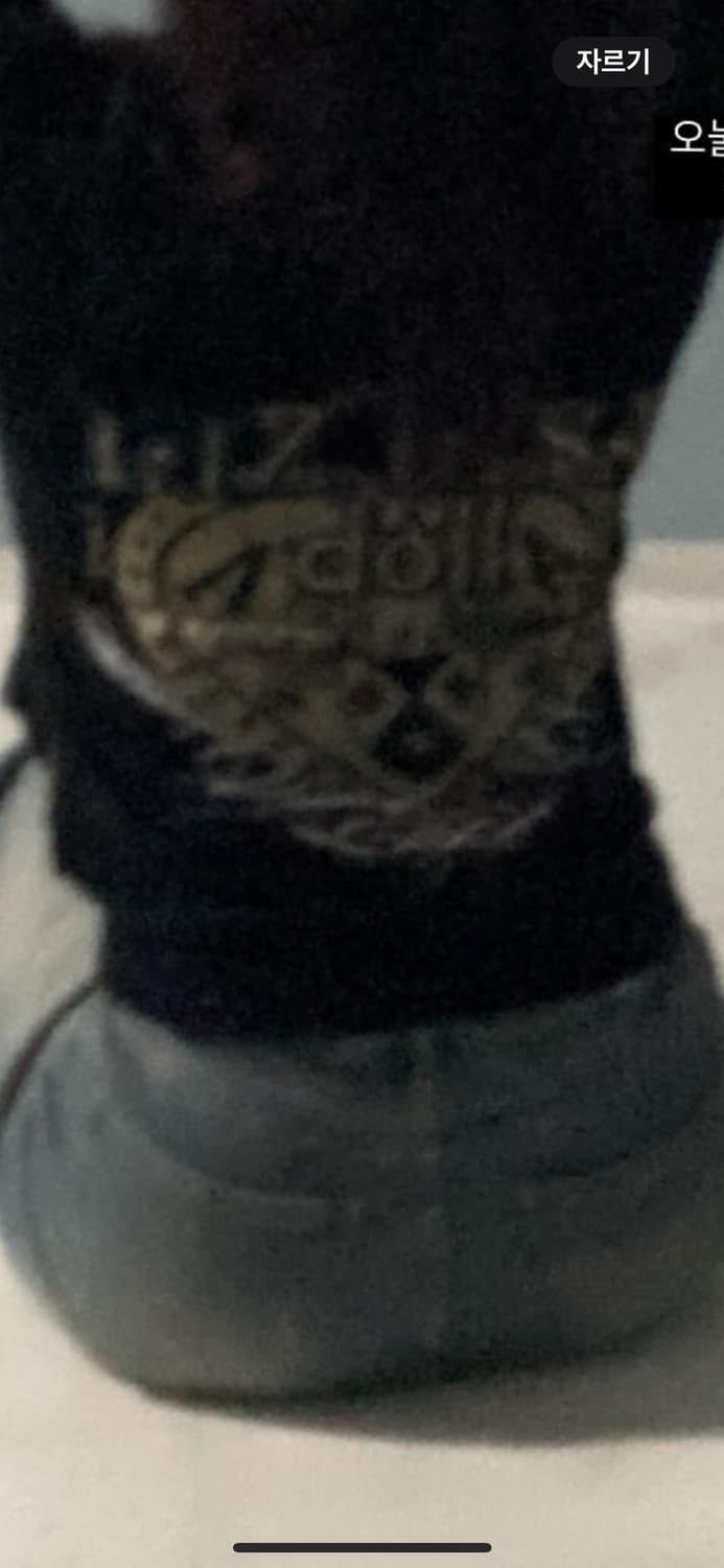 리즈리사 갸루 후드집업 상품이미지4