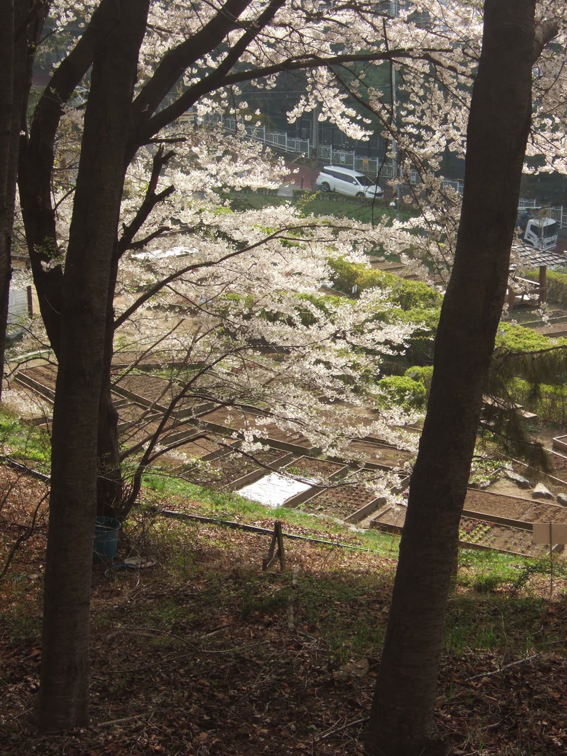 finepix 파인픽스 f10 상품이미지8