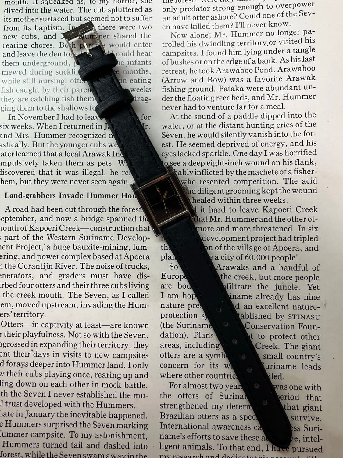 YSL × Citizen Vintage Quartz  상품이미지5