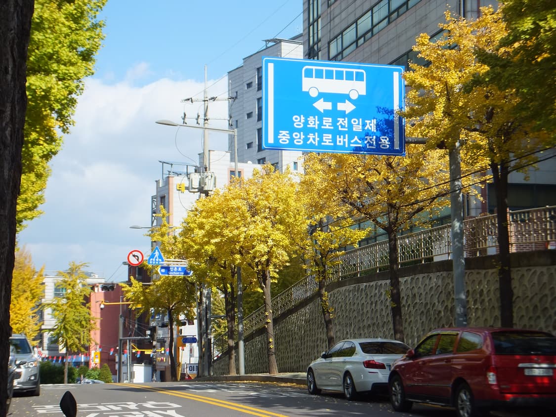 (작례O)후지필름 fujifilm 파인픽스 f550exr 상품이미지8