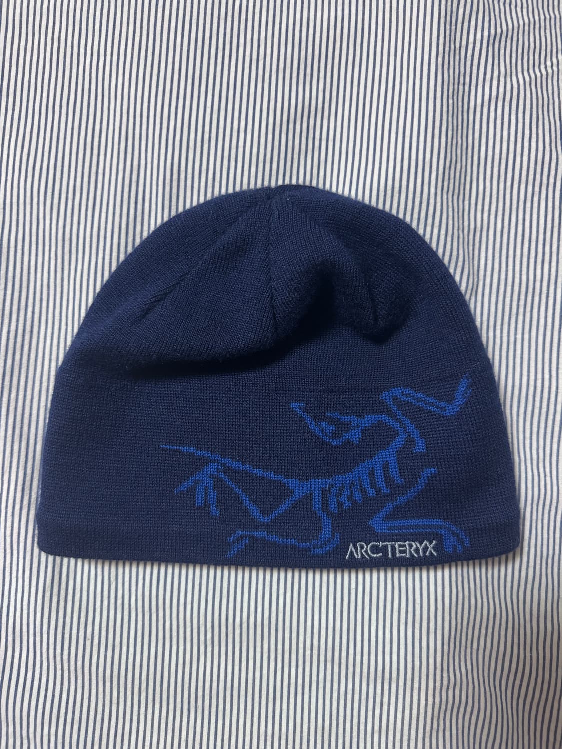 아크테릭스 버드 헤드 토크 네이비 상품이미지1