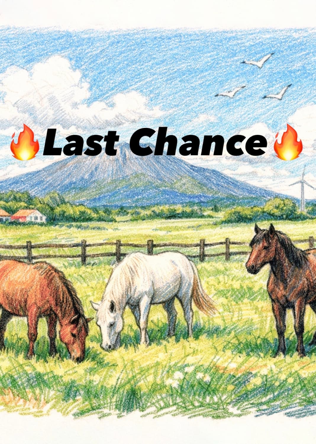 🔥Last Chance🔥 상품이미지1