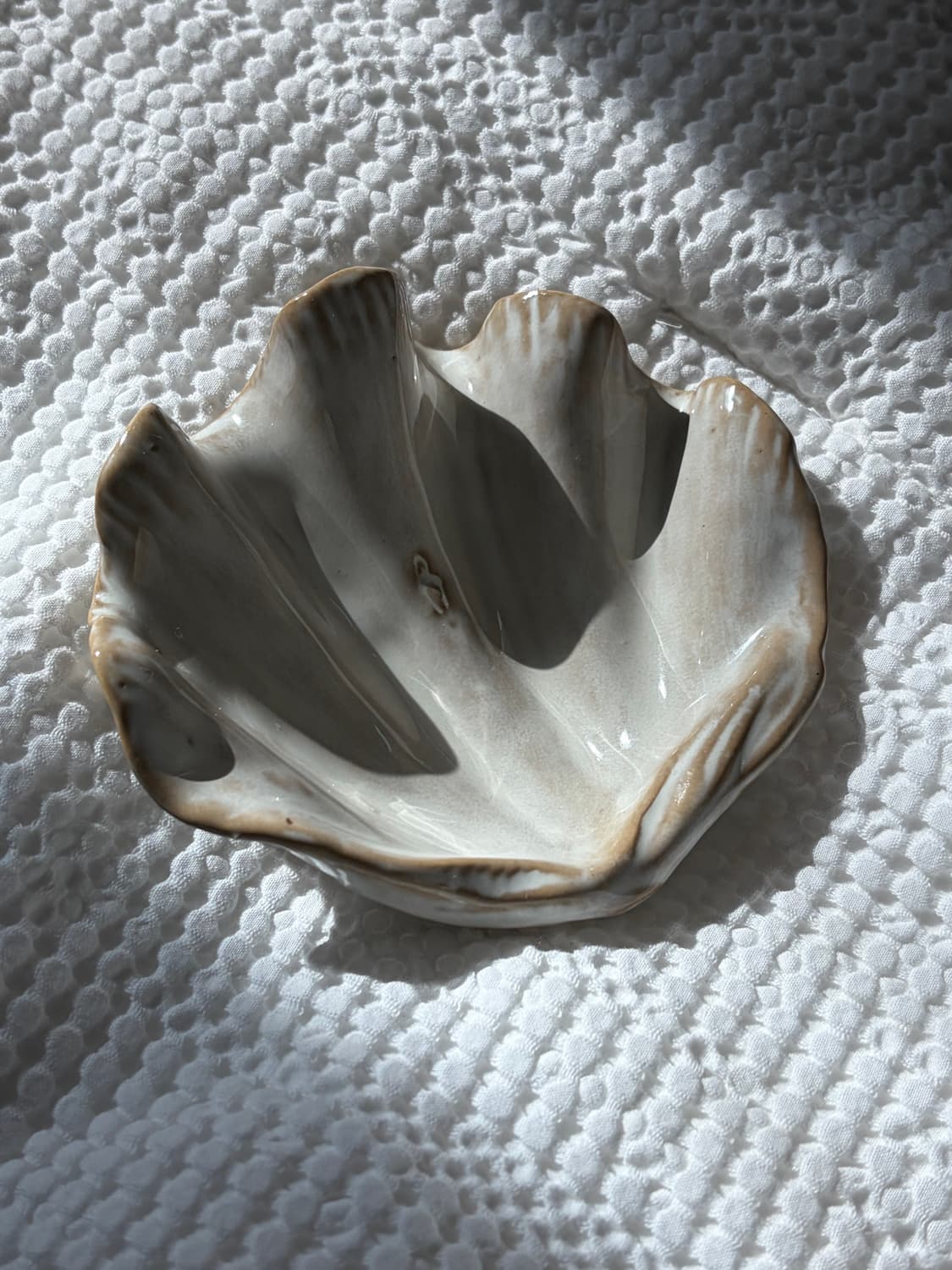 야나칸 조개접시  상품이미지3