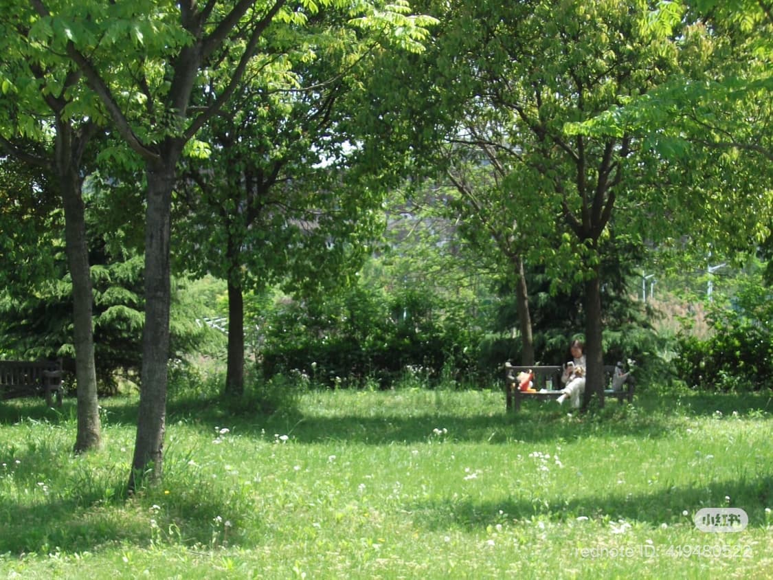 민트급, 슬기디카!) 후지필름 파인픽스 J37 FinePix J37 상품이미지7