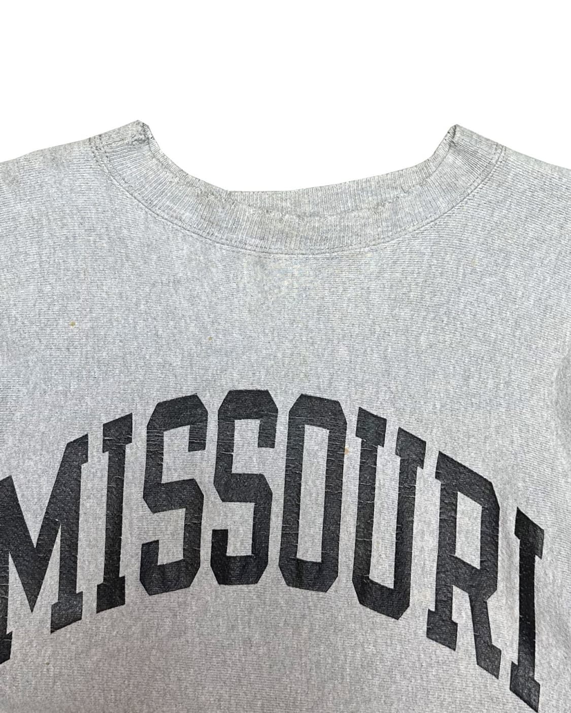 Old 챔피온 리버스위브 헤비 데미지 스웻 셔츠 상품이미지2