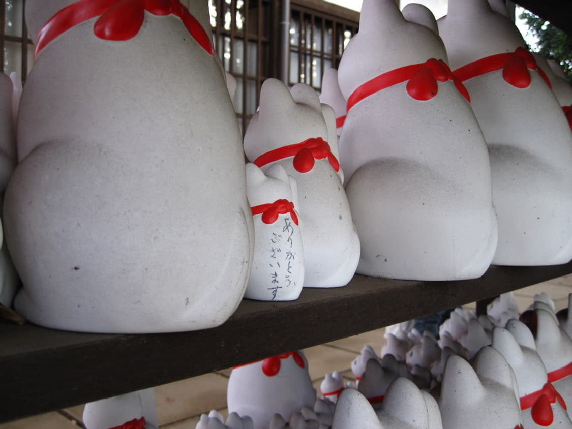 캐논 익서스 Canon IXUS 980 IS 블랙 상품이미지3