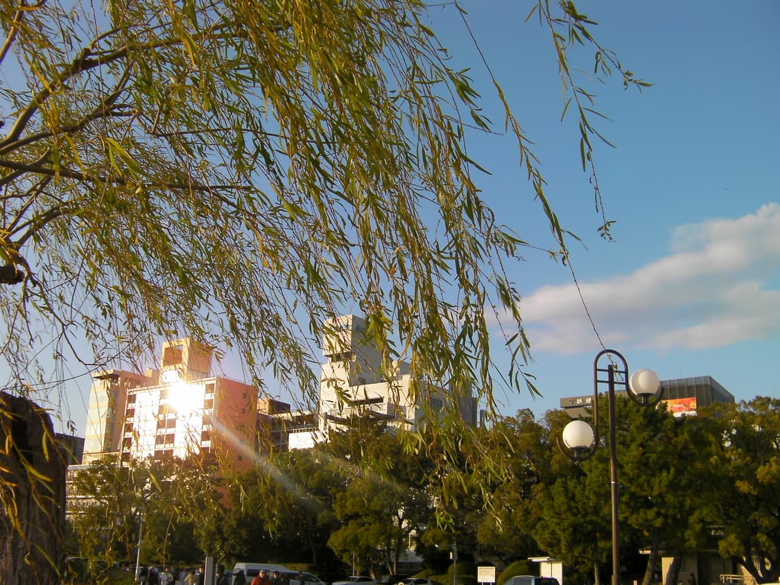 산요작티 cg9 상품이미지10