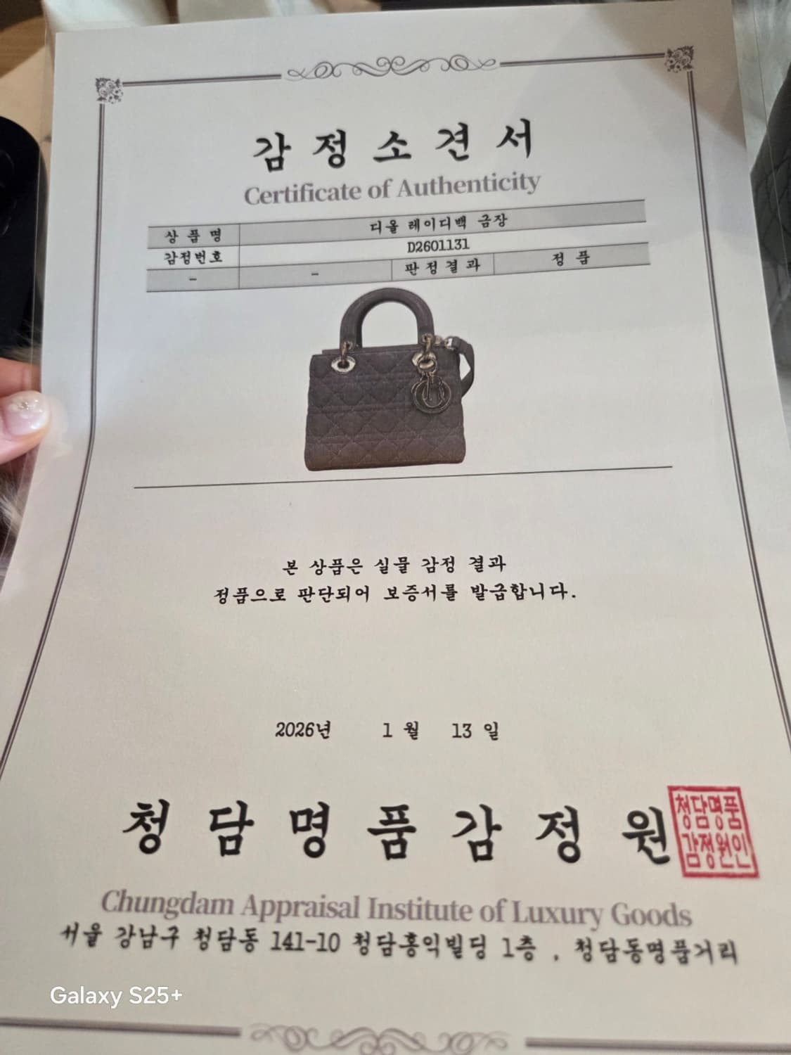 디올 레이디백 최신형 디자이너 엘레나 에디션 상품이미지10