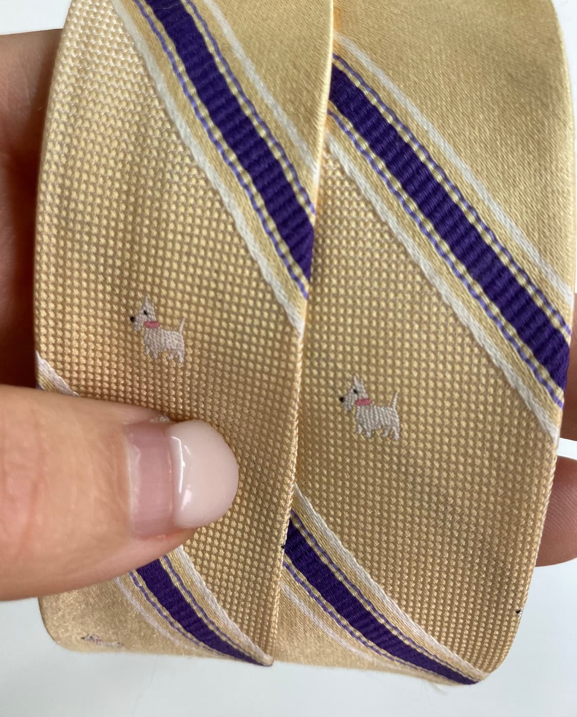 챕스 넥타이 상품이미지8