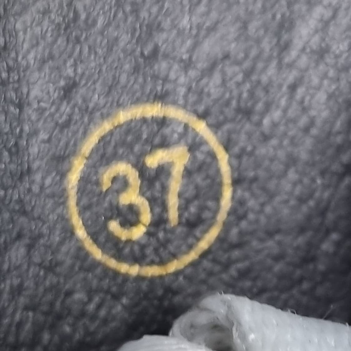 아쉬 스파이더 여성운동화37 240 상품이미지6