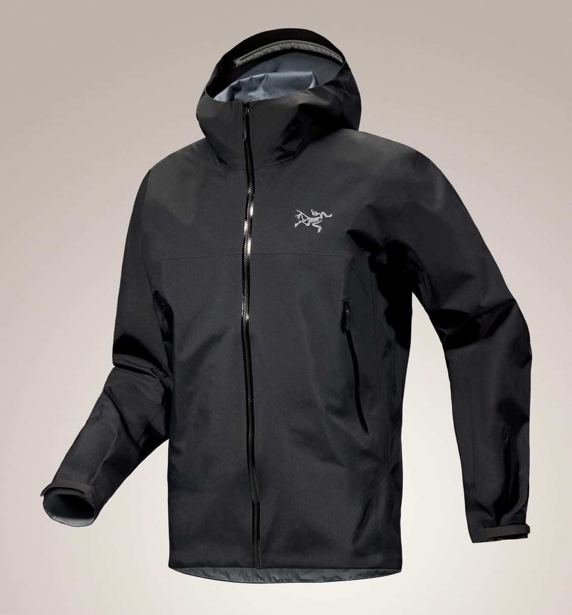 아크테릭스 베타 새상품 상품이미지1