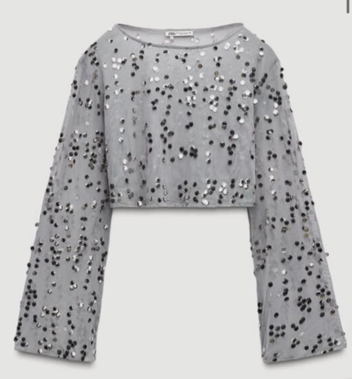 자라 시스루 시퀸 크롭탑 상품이미지3