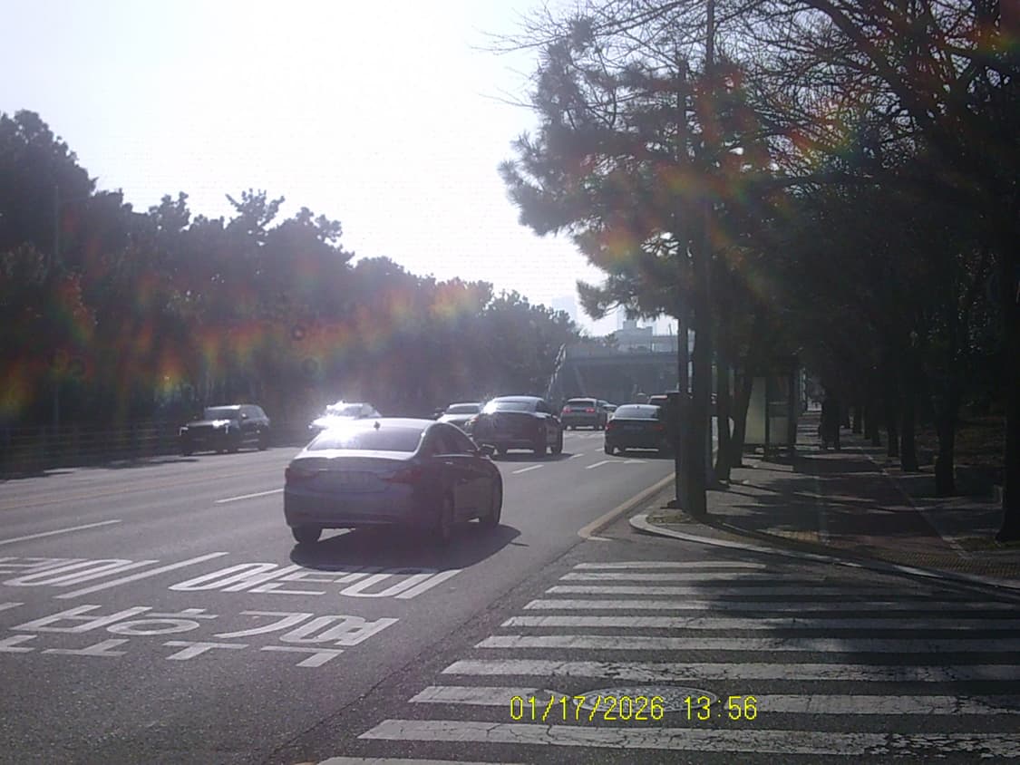 비비타 빈티지 디카 Vivitar DVR 620HD 상품이미지3