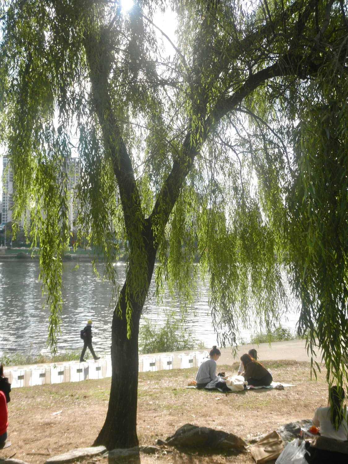 필름색감&강추!) Kodak Easyshare V1003 디카 카메라 상품이미지5