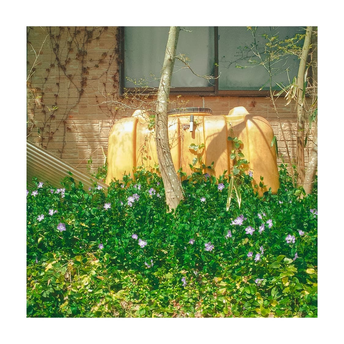 디카계의 에르메스, 라이카 미니룩스 4.3 상품이미지2