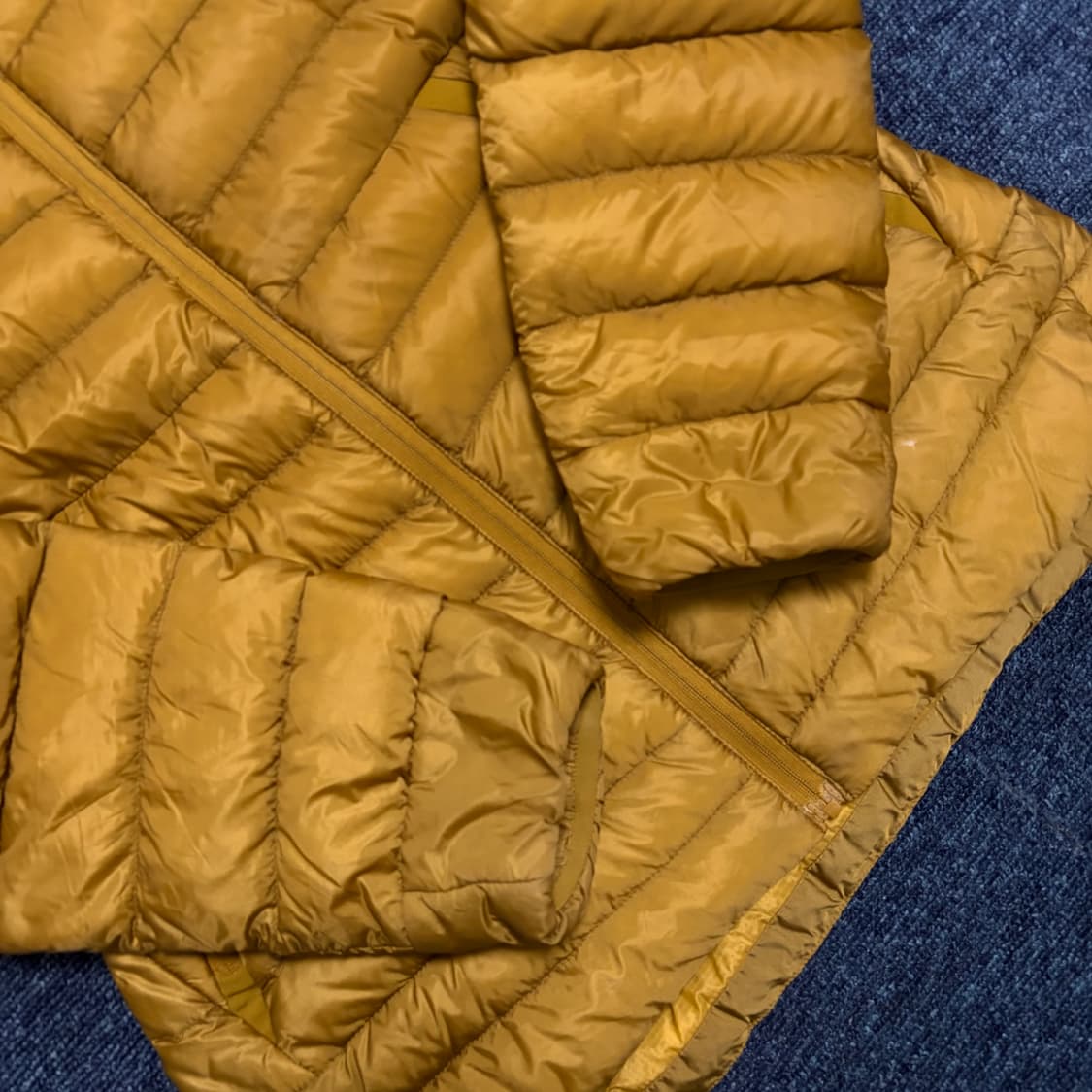 아크테릭스 세륨 LT 후디 여성용 상품이미지2