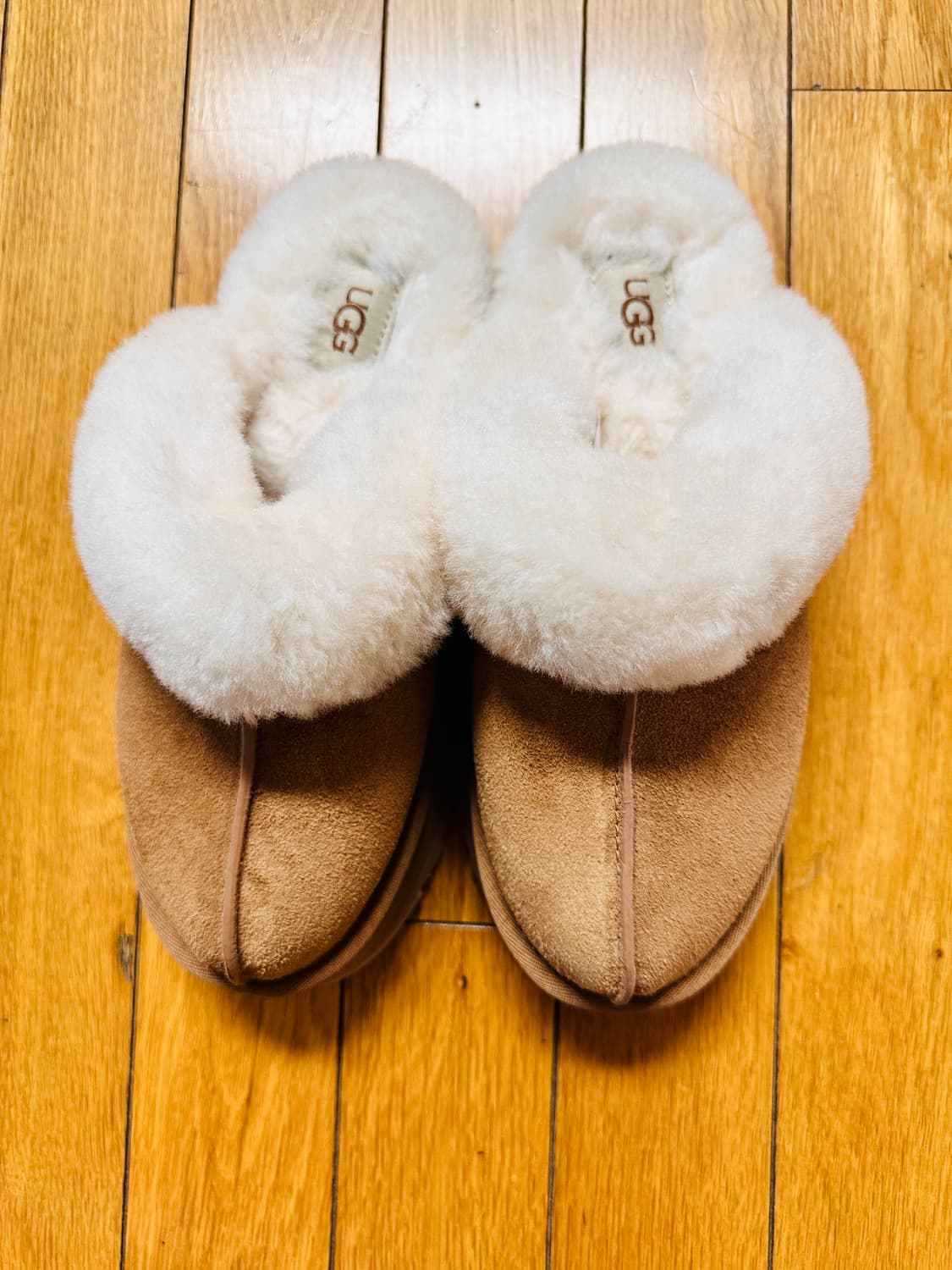 어그 디스케트 키높이 슬리퍼 체스트넛 240 상품이미지1