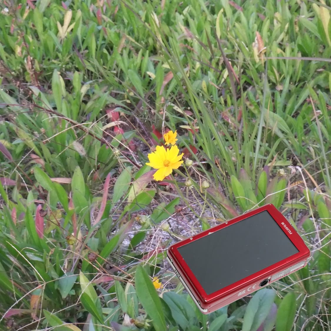 Finepix Z800exr (A급/🎞️필름시뮬레이션) 상품이미지5