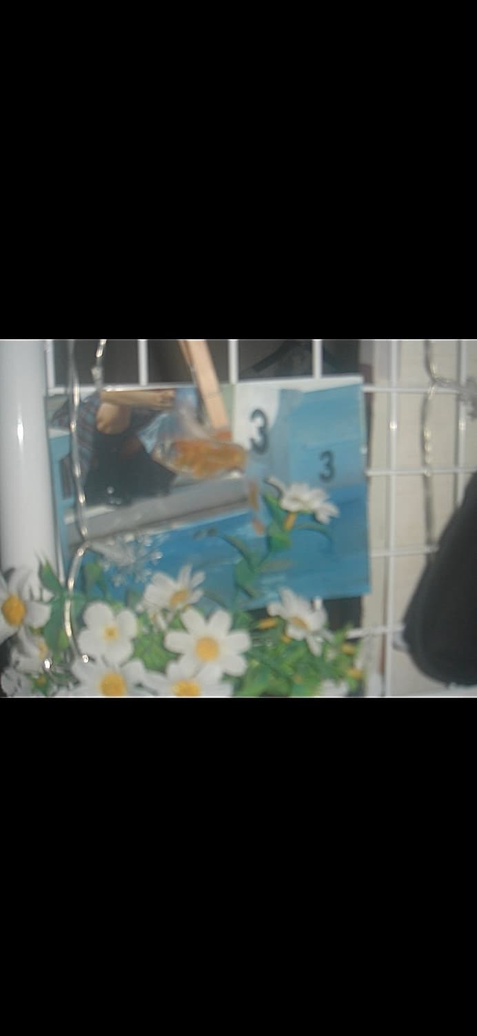 소니 Cyber-shot DSC-T7 /빈티지 디카 뽀용&쿨한감성 상품이미지2