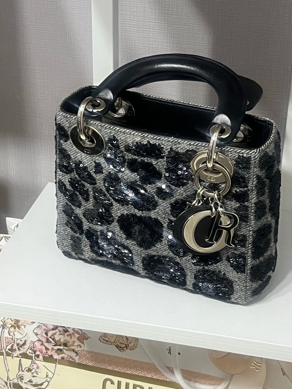 디올 레이디백 미니 상품이미지2