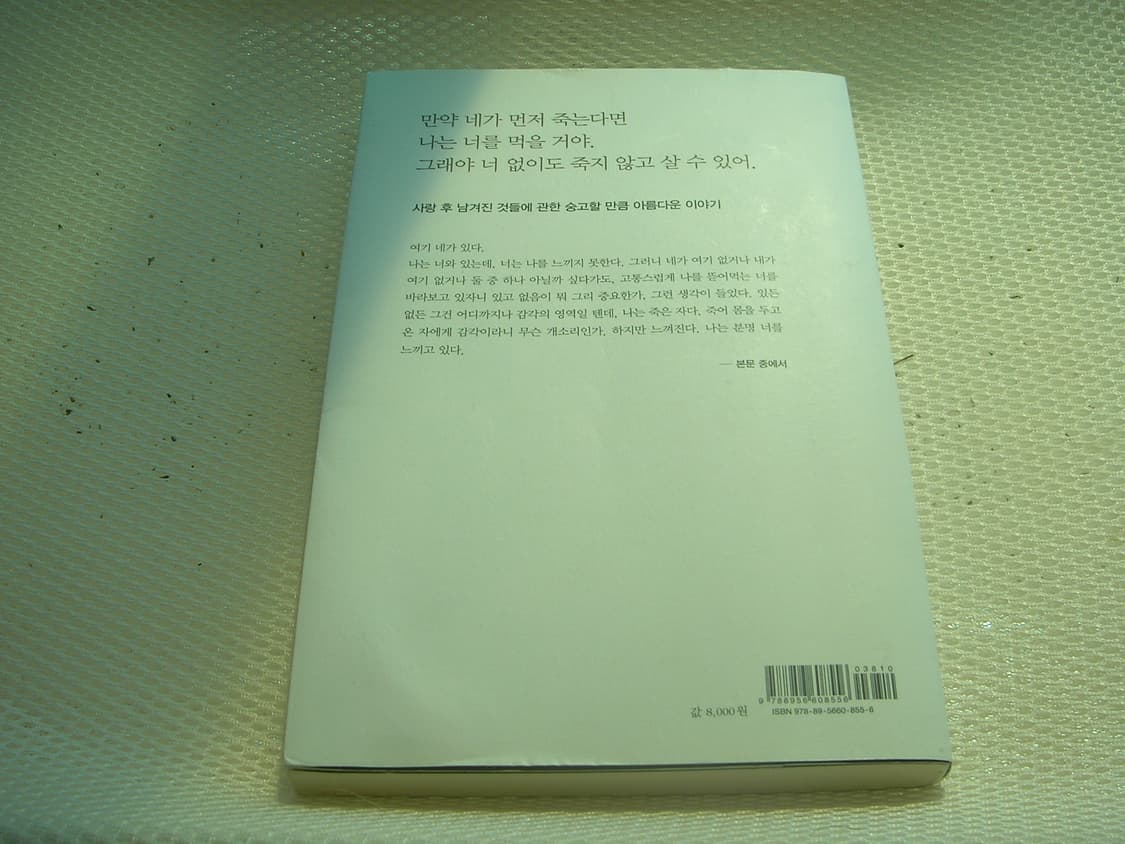 구의 증명 소설 상품이미지2