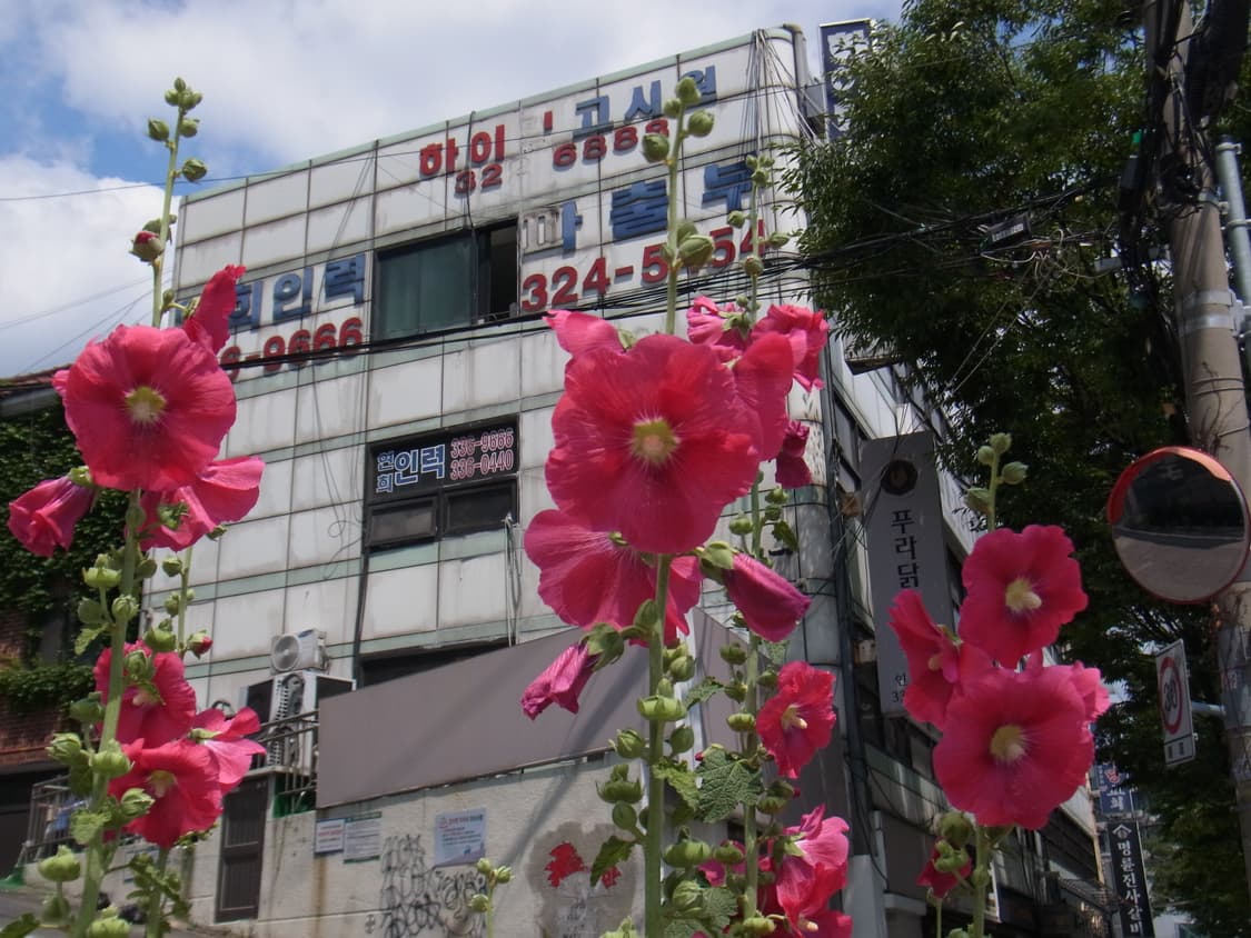 리코 CX5 (작례0) 상품이미지6