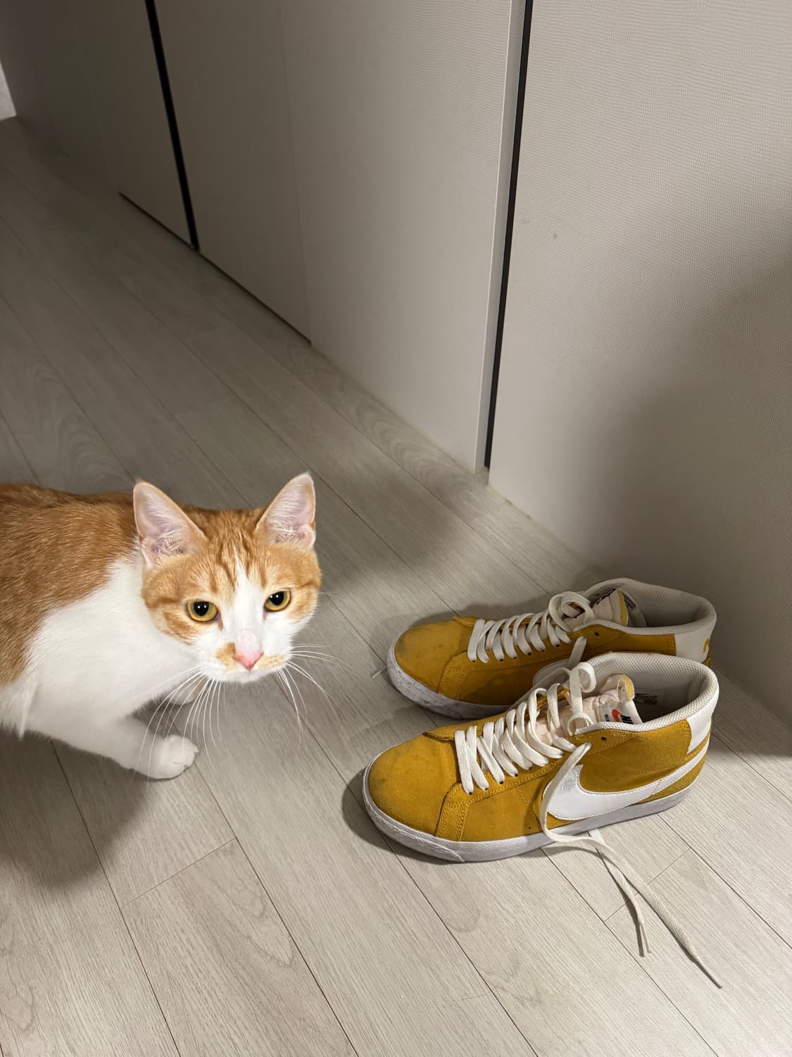 나이키 블레이저 미드 상품이미지2