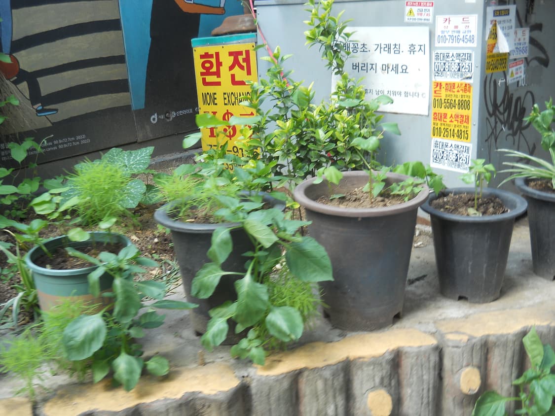 니콘 쿨픽스 l22 (작례 O) 상품이미지8