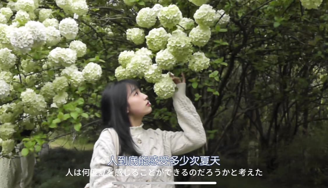 🌸고마츠나나 사용🌸Panasonic HDC-TM60 상품이미지6