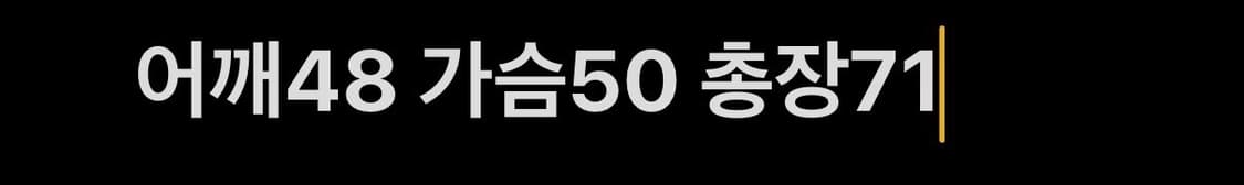 다이네즈 소가죽 바이크자켓 상품이미지8