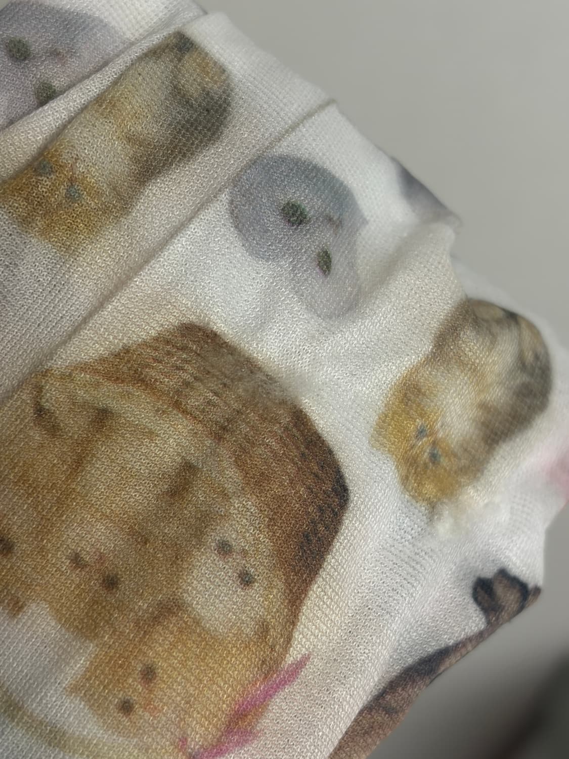 애슐리윌리엄스 캣 고양이 스타킹 상품이미지5