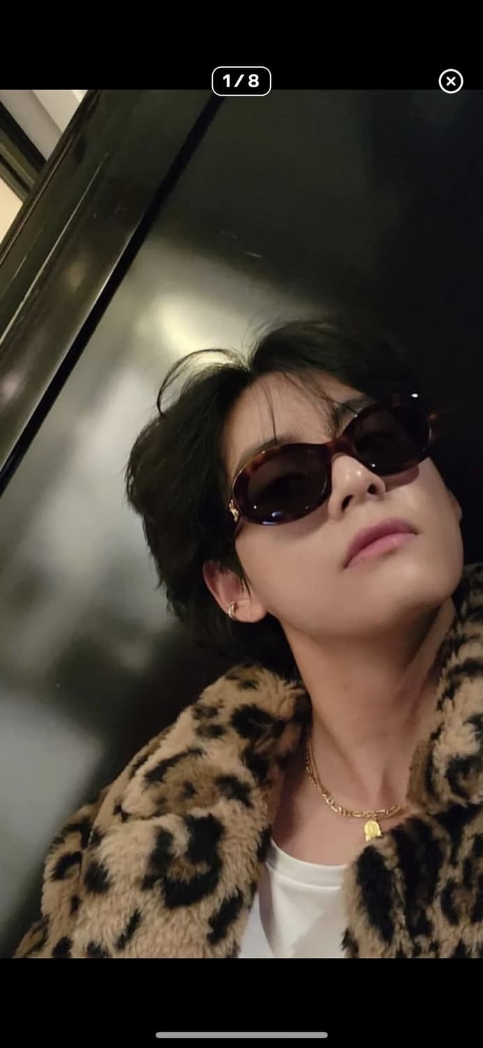 셀린느 트리옹프 선글라스 레오파드 상품이미지2