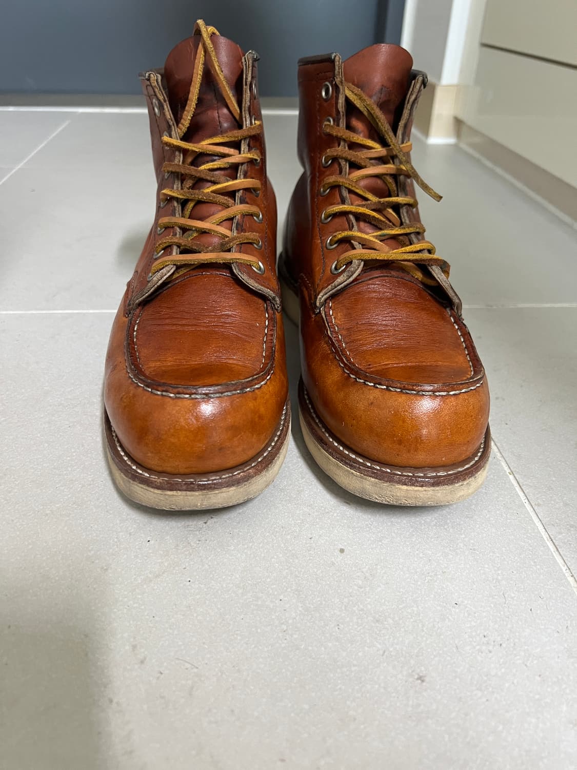 택포13) 레드윙 목토 875 7.5D 255 상품이미지2